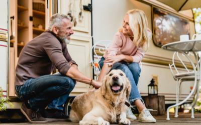Paws on the Road: The Complete Guide to RVing With Your Pet
